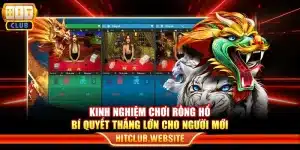 Kinh nghiệm chơi rồng hổ - Bí quyết thắng lớn cho người mới