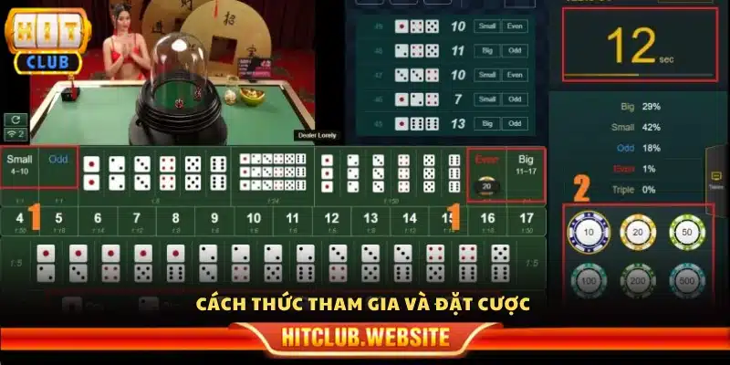 Hướng dẫn tham gia và đặt cược
